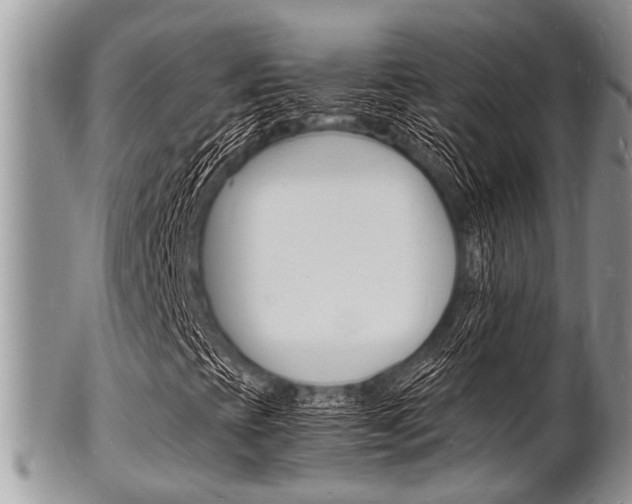 X0000102781393200808180920
