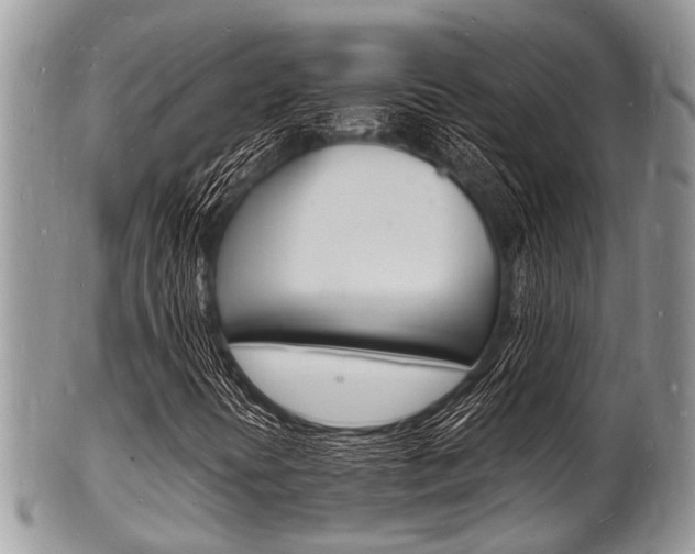 X0000102781394200808180920