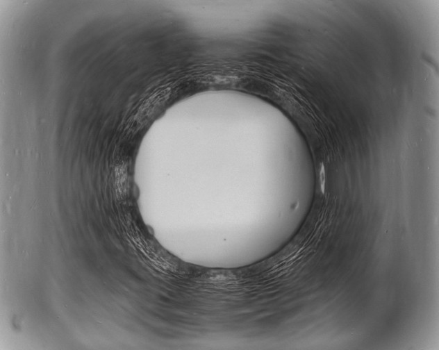 X0000102781395200808180920
