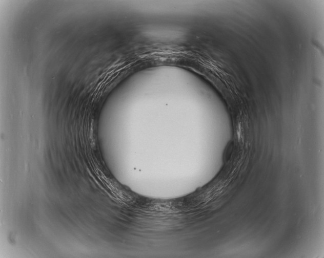 X0000102781396200808180920