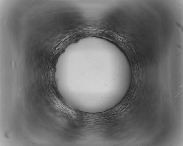 X0000102781397200808180920