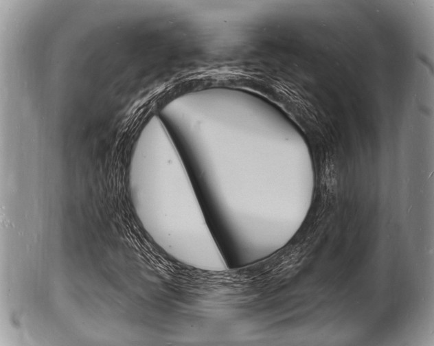 X0000102781398200808180920