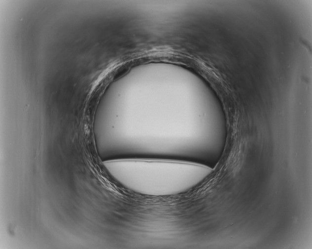 X0000102781400200808180920