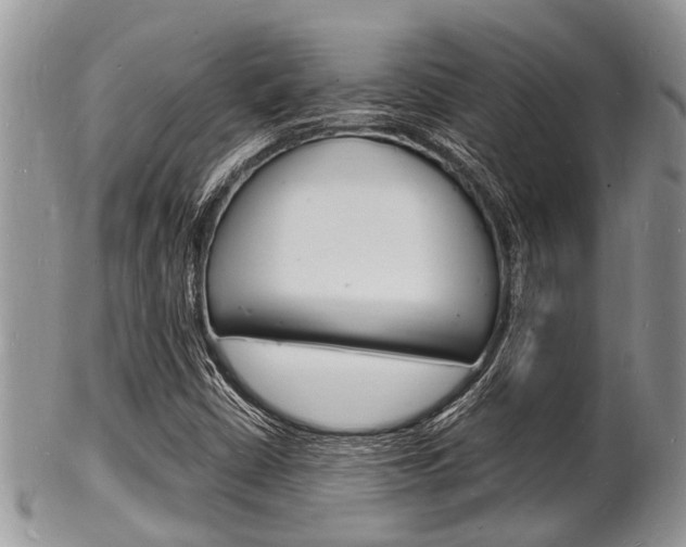X0000102781402200808180920