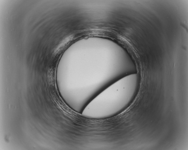 X0000102781403200808180920