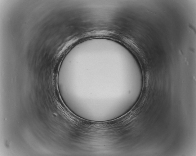 X0000102781404200808180920