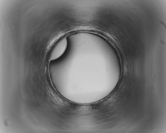 X0000102781406200808180920