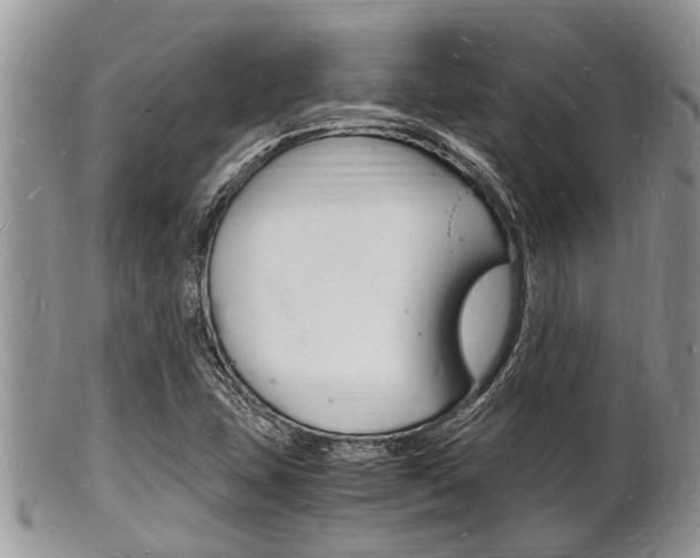 X0000102781407200808180920