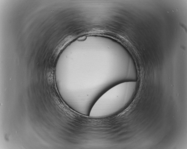 X0000102781409200808180921