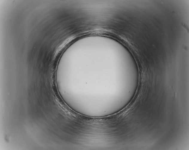 X0000102781410200808180921