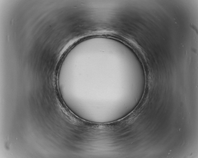 X0000102781412200808180921