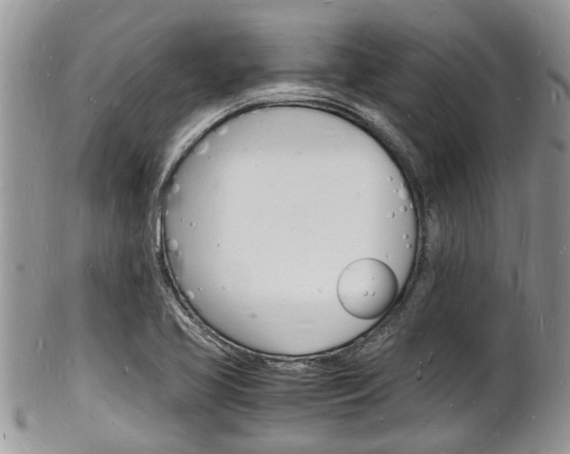X0000102781413200808180921