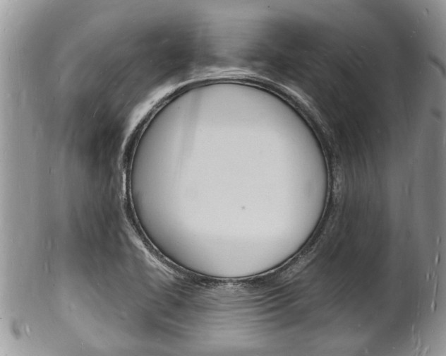 X0000102781414200808180921