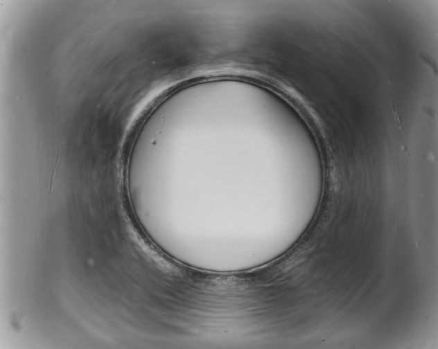 X0000102781416200808180921
