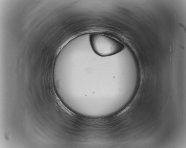 X0000102781417200808180921