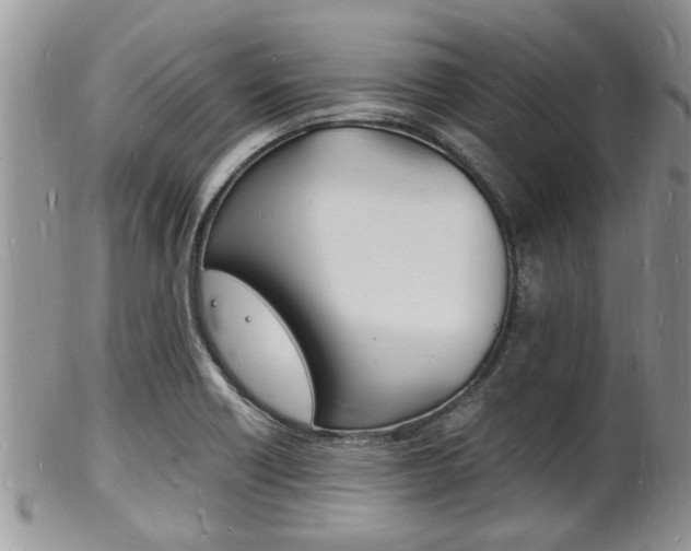 X0000102781418200808180921