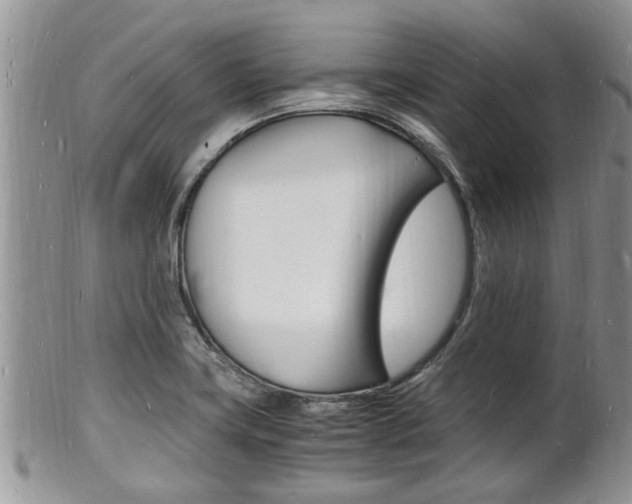 X0000102781419200808180921