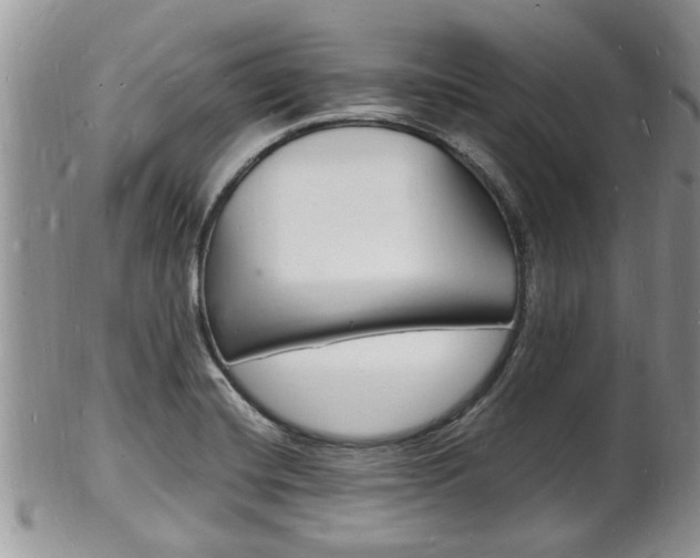 X0000102781420200808180921