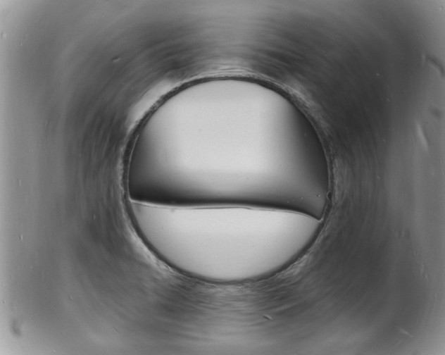 X0000102781422200808180921