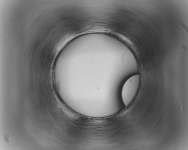 X0000102781423200808180921