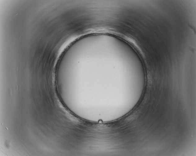 X0000102781424200808180921