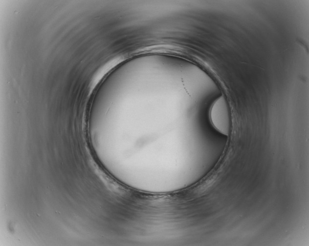 X0000102781426200808180921