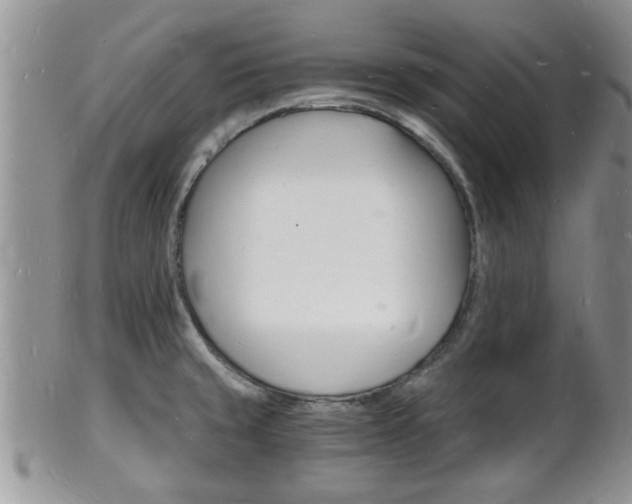 X0000102781429200808180921