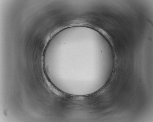 X0000102781431200808180921