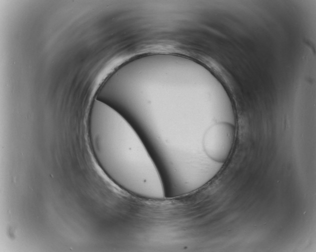 X0000102781432200808180921