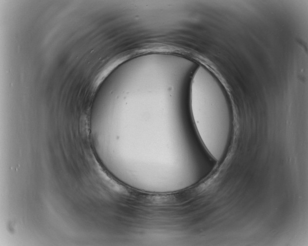 X0000102781433200808180921