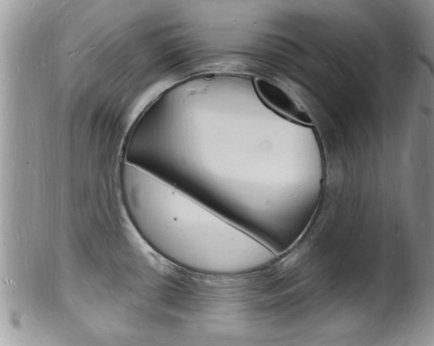 X0000102781434200808180921