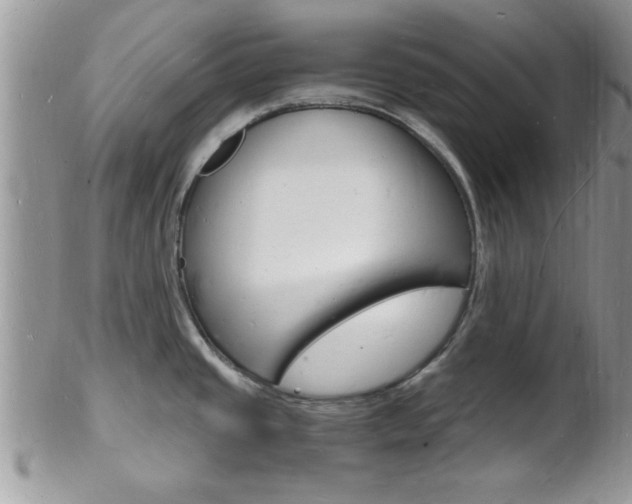 X0000102781437200808180921