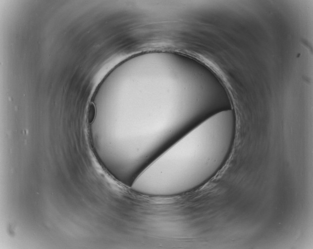 X0000102781440200808180921