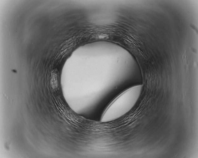 X0000102781442200808180920