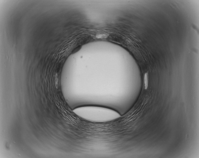 X0000102781443200808180920