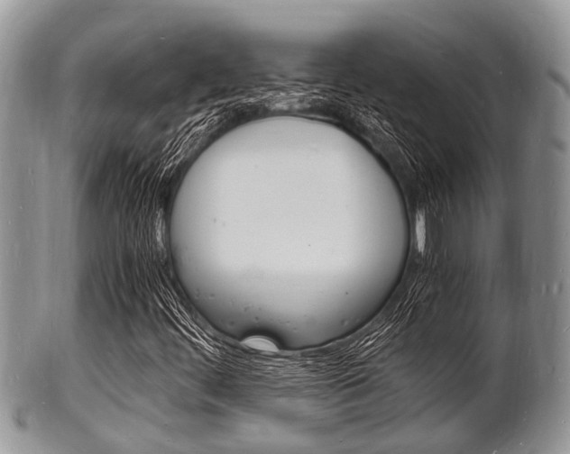 X0000102781444200808180920