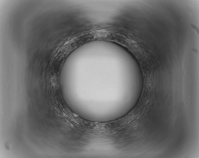 X0000102781445200808180920