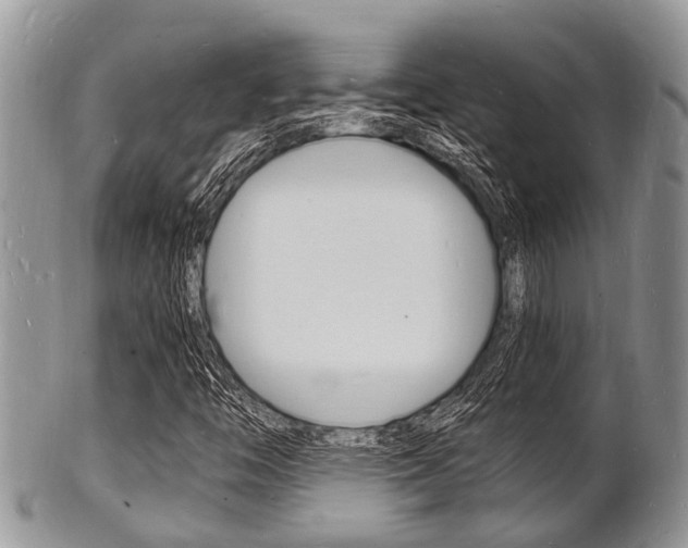 X0000102781446200808180920