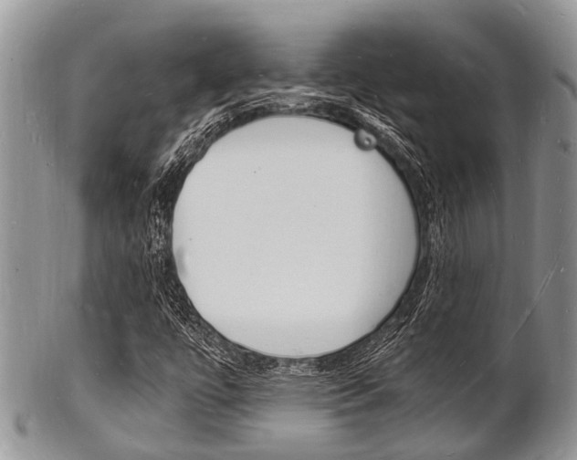 X0000102781447200808180920