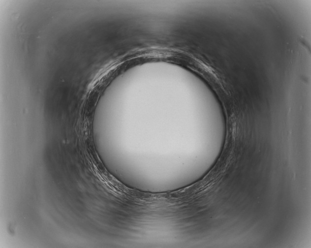 X0000102781448200808180920