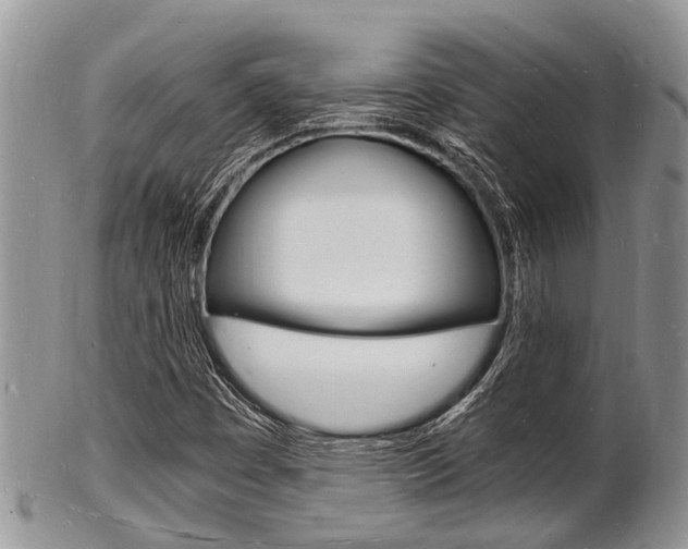 X0000102781449200808180920