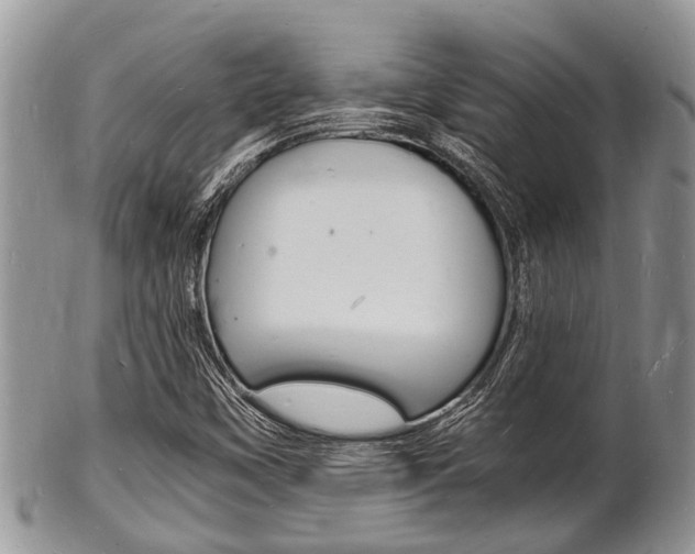 X0000102781451200808180920