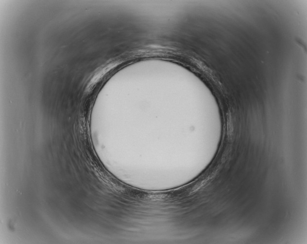 X0000102781453200808180920