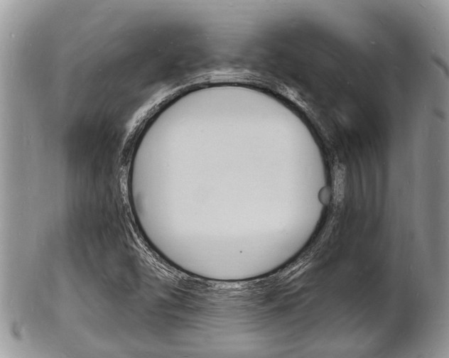 X0000102781454200808180920