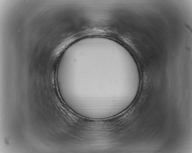 X0000102781455200808180920
