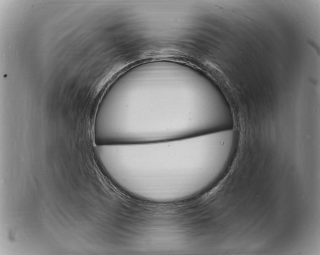 X0000102781457200808180920