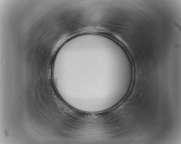 X0000102781459200808180920