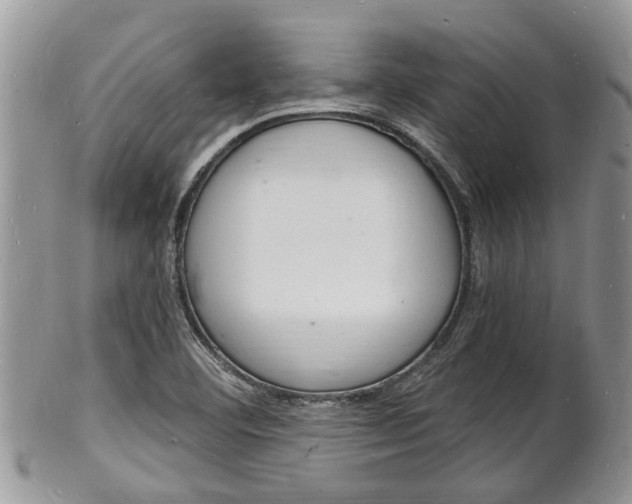 X0000102781460200808180920