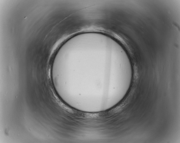 X0000102781462200808180920