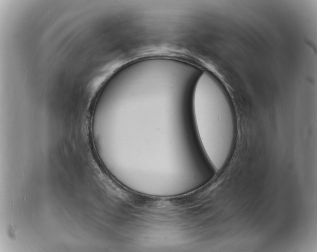 X0000102781463200808180920